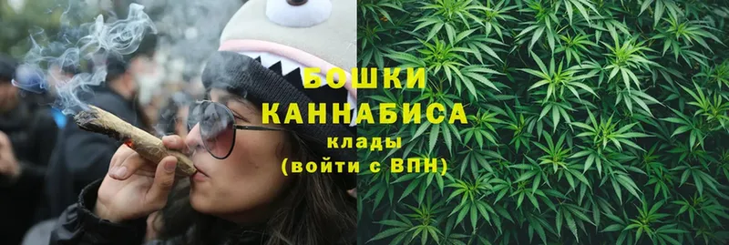 где купить   Ярославль  Бошки марихуана индика 